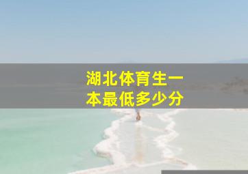 湖北体育生一本最低多少分