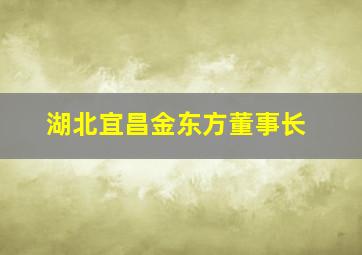 湖北宜昌金东方董事长