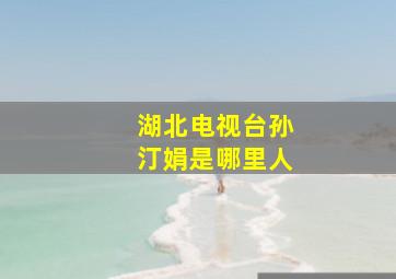 湖北电视台孙汀娟是哪里人