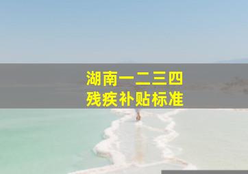 湖南一二三四残疾补贴标准