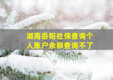 湖南岳阳社保查询个人账户余额查询不了