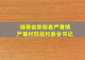 湖南省新邵县严塘镇严塘村四组村委会书记