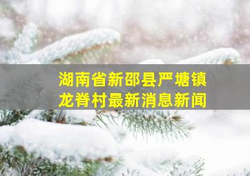 湖南省新邵县严塘镇龙脊村最新消息新闻