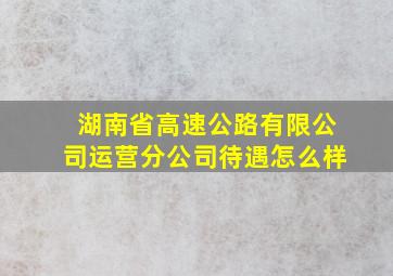 湖南省高速公路有限公司运营分公司待遇怎么样