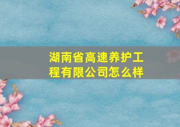 湖南省高速养护工程有限公司怎么样