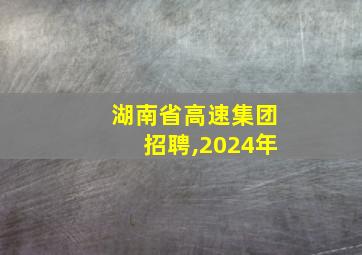 湖南省高速集团招聘,2024年