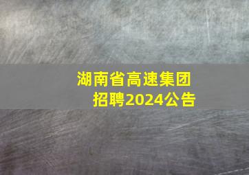 湖南省高速集团招聘2024公告