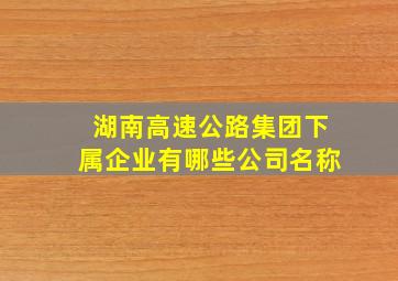 湖南高速公路集团下属企业有哪些公司名称