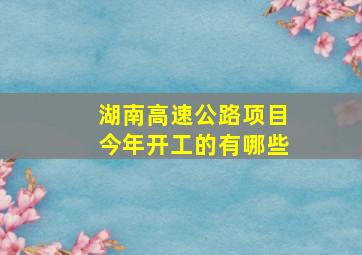 湖南高速公路项目今年开工的有哪些