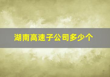 湖南高速子公司多少个