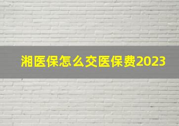 湘医保怎么交医保费2023