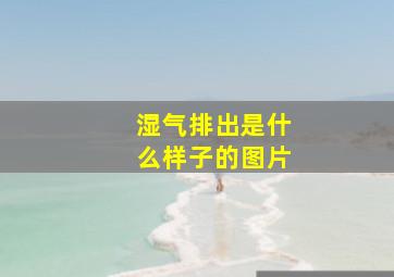 湿气排出是什么样子的图片