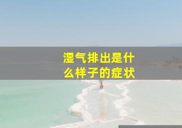 湿气排出是什么样子的症状