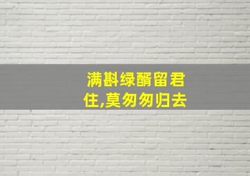 满斟绿醑留君住,莫匆匆归去