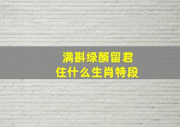 满斟绿醑留君住什么生肖特段