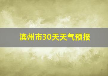 滨州市30天天气预报