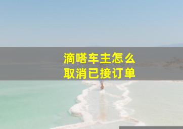 滴嗒车主怎么取消已接订单