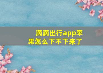 滴滴出行app苹果怎么下不下来了