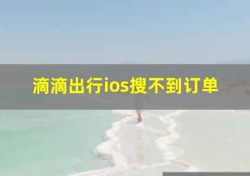 滴滴出行ios搜不到订单