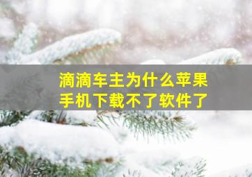 滴滴车主为什么苹果手机下载不了软件了