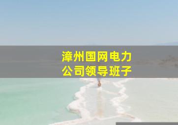 漳州国网电力公司领导班子