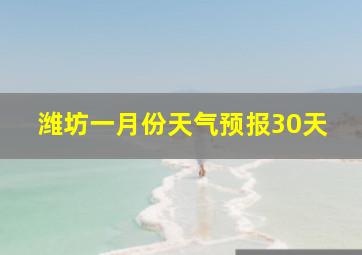 潍坊一月份天气预报30天