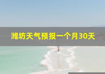 潍坊天气预报一个月30天