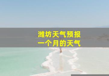 潍坊天气预报一个月的天气