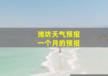 潍坊天气预报一个月的预报