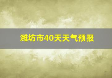 潍坊市40天天气预报