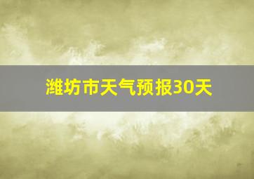 潍坊市天气预报30天