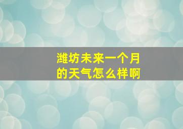 潍坊未来一个月的天气怎么样啊