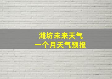 潍坊未来天气一个月天气预报