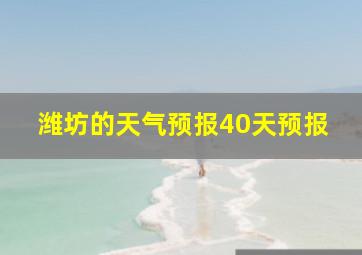 潍坊的天气预报40天预报