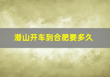 潜山开车到合肥要多久