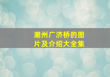 潮州广济桥的图片及介绍大全集