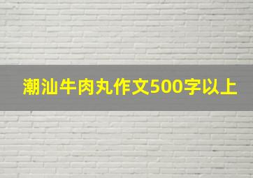 潮汕牛肉丸作文500字以上