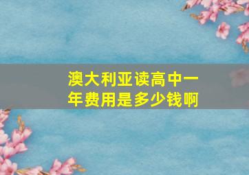 澳大利亚读高中一年费用是多少钱啊