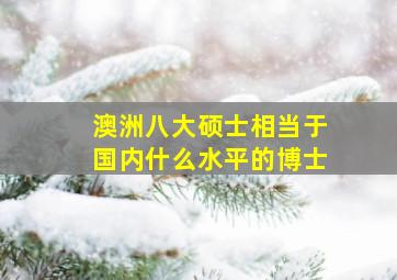 澳洲八大硕士相当于国内什么水平的博士