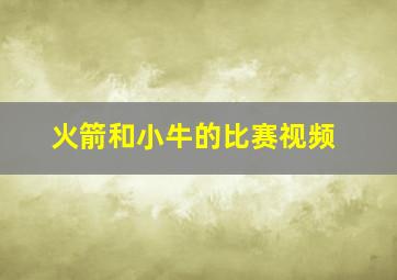 火箭和小牛的比赛视频