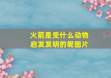 火箭是受什么动物启发发明的呢图片