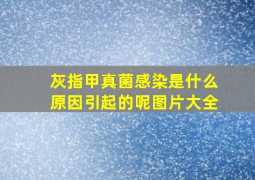 灰指甲真菌感染是什么原因引起的呢图片大全