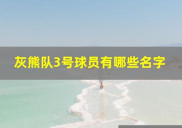 灰熊队3号球员有哪些名字