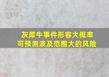 灰犀牛事件形容大概率可预测波及范围大的风险