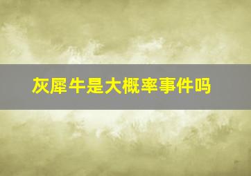 灰犀牛是大概率事件吗