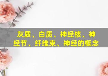 灰质、白质、神经核、神经节、纤维束、神经的概念