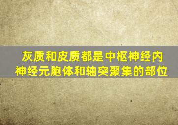 灰质和皮质都是中枢神经内神经元胞体和轴突聚集的部位