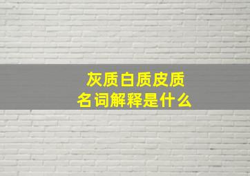 灰质白质皮质名词解释是什么