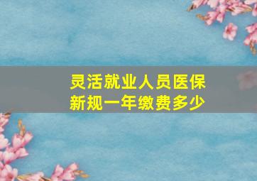 灵活就业人员医保新规一年缴费多少