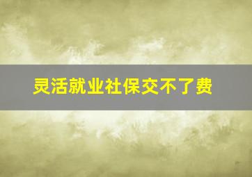 灵活就业社保交不了费